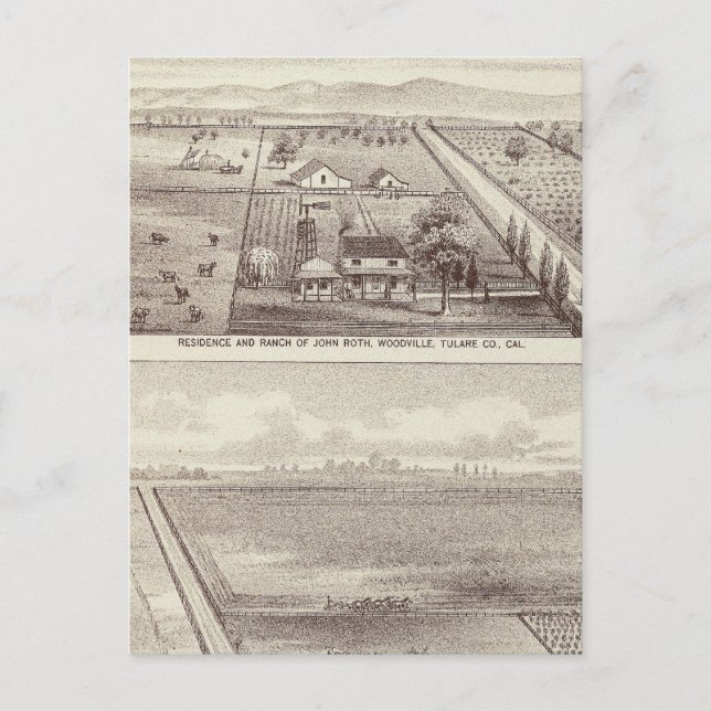 Roth, Skryssggs-rancher Vykort (Framsida)