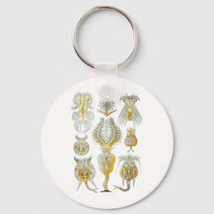 Rotifers Nyckelring