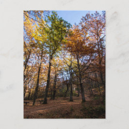 Rotino, Makedonien Vykort