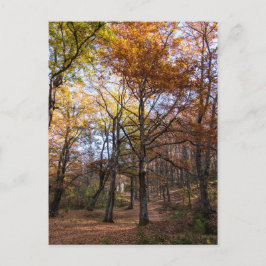 Rotino, Makedonien Vykort