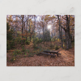 Rotino, Makedonien Vykort