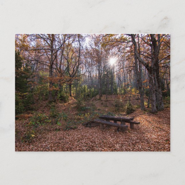 Rotino, Makedonien Vykort (Framsida)