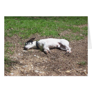 Rötmånad Hälsningskort