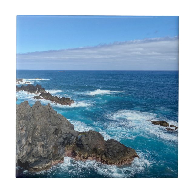 Rotsen in zee kakelplatta (Framsidan)