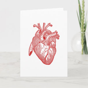 Rött Anatomiskt hjärta Kort