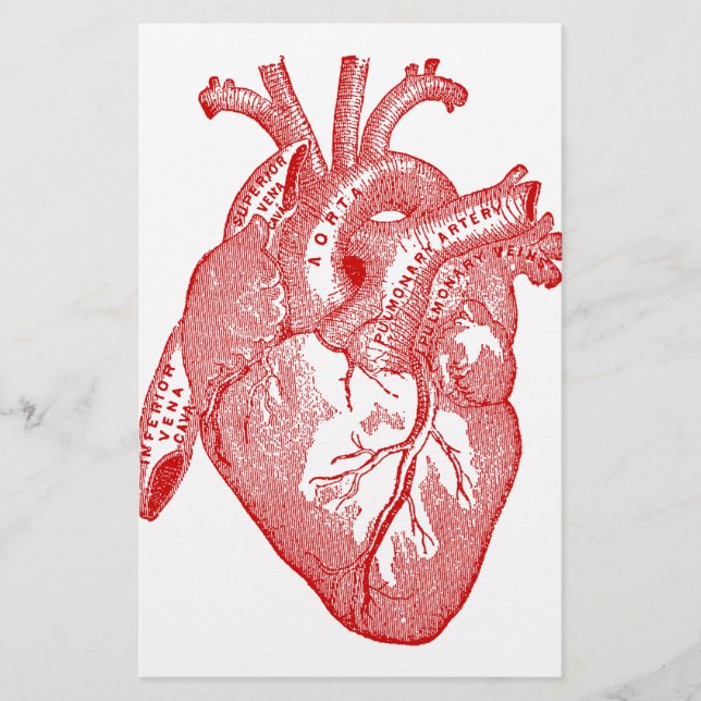 Rött antikt anatomiskt hjärta (Framsida)