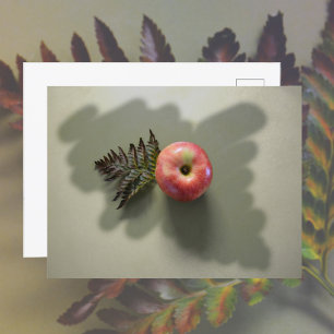 Rött äpple på grön fotografisk vykort