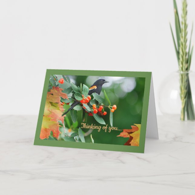 Rött bevingat Blackbirdhälsningkort Kort (Framsida)