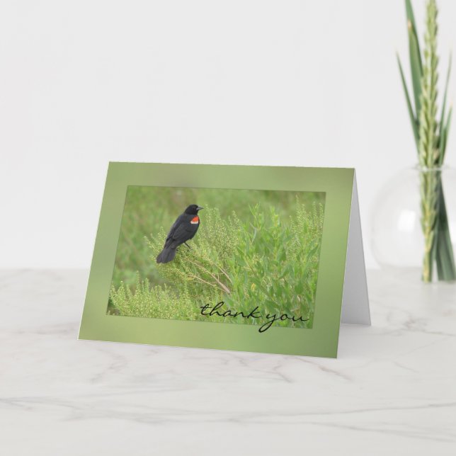 Rött bevingat Blackbirdhälsningkort Tack Kort (Framsida)