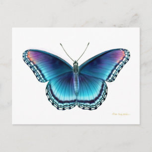 Rött dekorerat Lila Butterfly-vykort Vykort