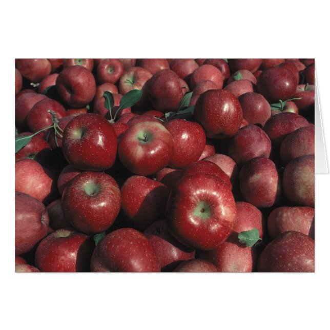 Rött Delicious Apple Foto Tom Julkort Hälsningskort (Framsidan Horizontal)
