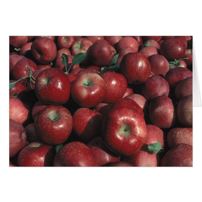 Rött Delicious Apple Foto Tom Julkort Hälsningskort (Framsidan Horizontal)
