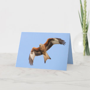 Rött drakekort kort