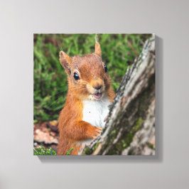 rött ekorrdjur canvastryck