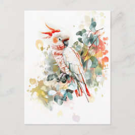 Rött-färgat Kakadu-färgat Vykort