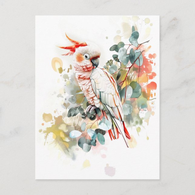 Rött-färgat Kakadu-färgat Vykort (Framsida)