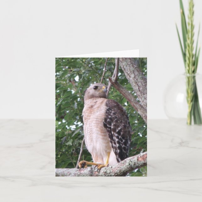 Rött, format hjullappat fotopappkort anteckningskort (Framsida)