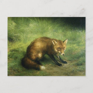 Rött fox-vykort vykort