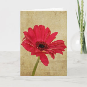 Rött Gerbera-blomkort Kort