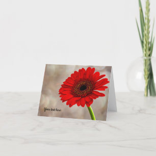 Rött Gerbera-kort med vikt Kort