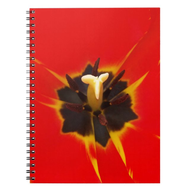 rött gult anteckningsbok (Framsidan)