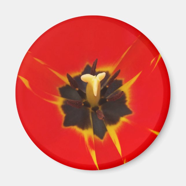 rött gult magnet (Framsidan)