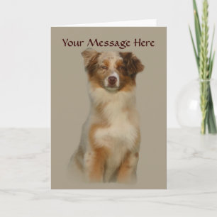 Rött hälsningskort för australian shepherd kort