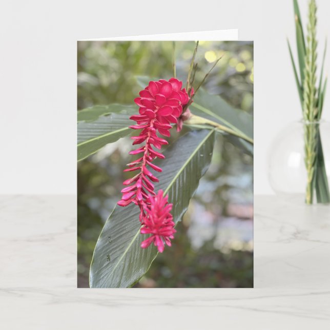 Rött ingefärgskort<Blank Inside> Inbjudan (Framsida)