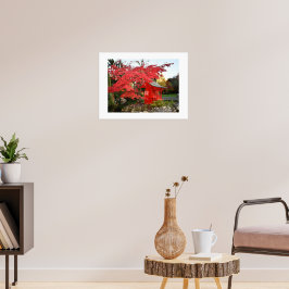 Rött japanskt lönn och trädgårdsskrin Foto Poster