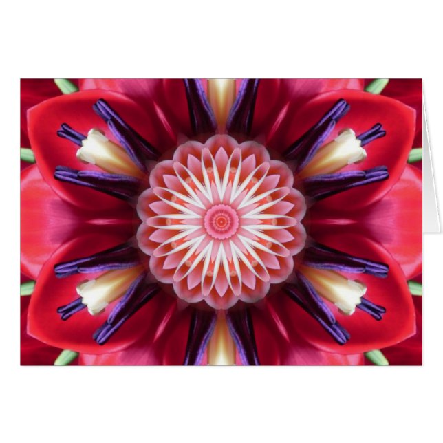 Rött kort för blommastjärnaMandala (Framsidan Horizontal)