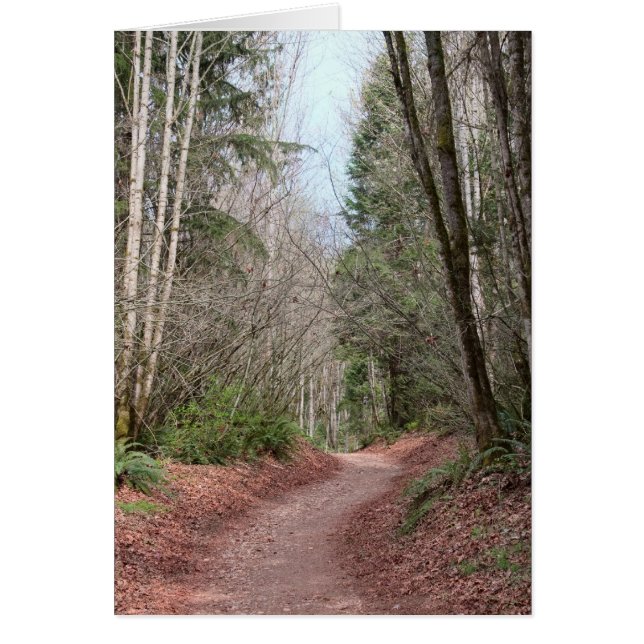 Rött kort för egen spole (Framsidan)