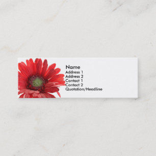 Rött kort för Gerber daisykontakt