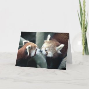 Rött kort för Panda #2-Greeting