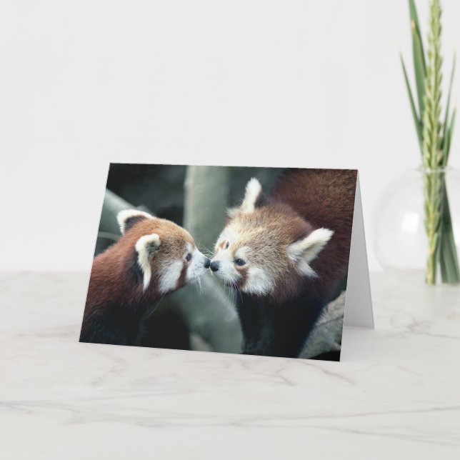 Rött kort för Panda #2-Greeting (Framsida)