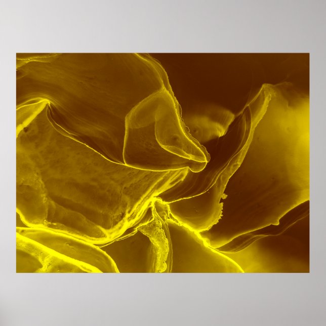 Rött läder, struktur poster (Framsidan)