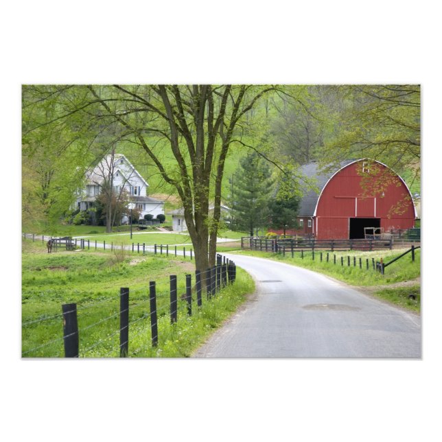 Rött ladugård och bondgård nära Berlin, Ohio. Fototryck (Framsidan)