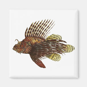 Rött Lionfishvintagetryck Magnet