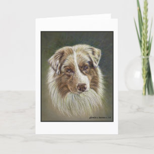 Rött Merle Australian shepherd-hälsningskort Tack Kort