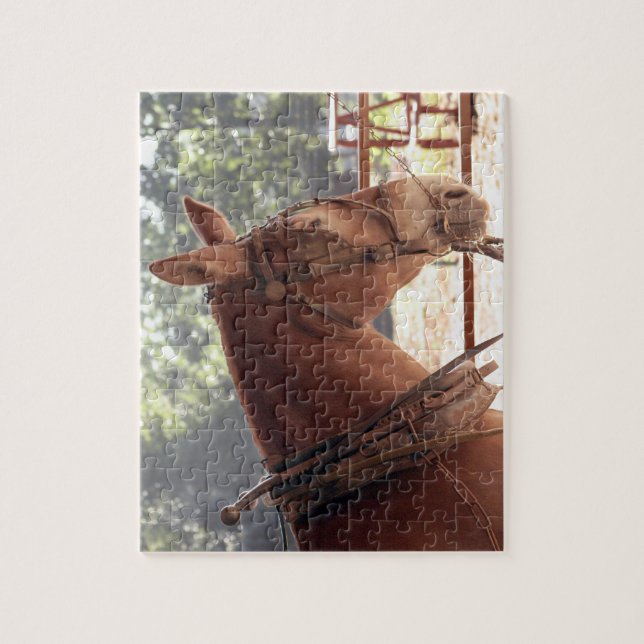 Rött Mulepussel Pussel (Vertikal)