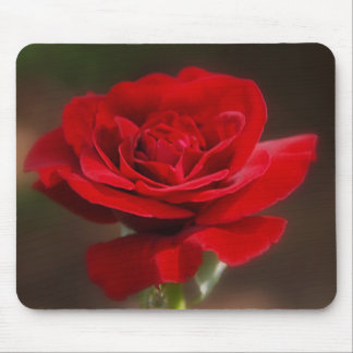 Rött Musmatta