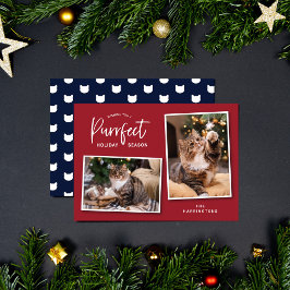 Rött- och blått cat-fotokort för Ansikte-Helgdag Julkort