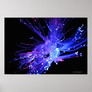 Rött och blått ljus från fiberoptik poster