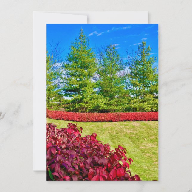 Rött och Grönt-Helgdag  Julkort (Framsida)