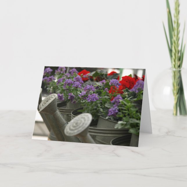 rött och lila blommor, i att bevattna cans kort (Framsida)