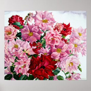 Rött och rosa ros 2008 poster