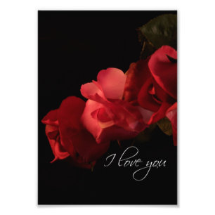 Rött och rosa ros "älskar jag dig" fototrycket fototryck