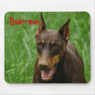 Rött och rosta dobermanen musmatta