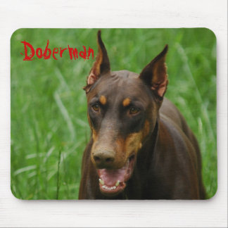 Rött och rosta dobermanen musmatta