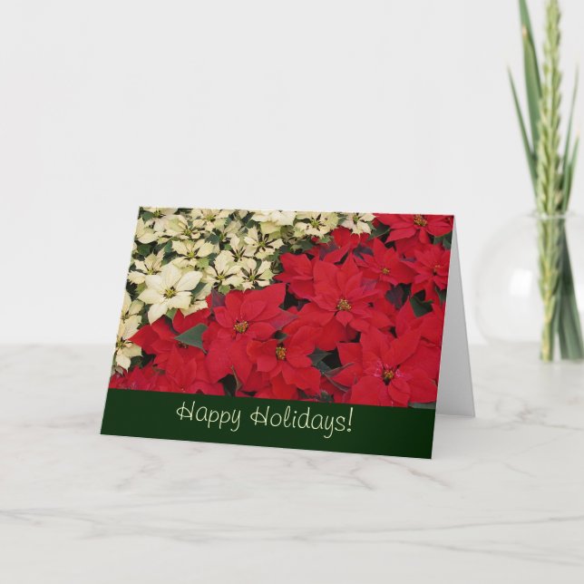 Rött- och vitpoinsettias-Helgdag Helgkort (Framsida)