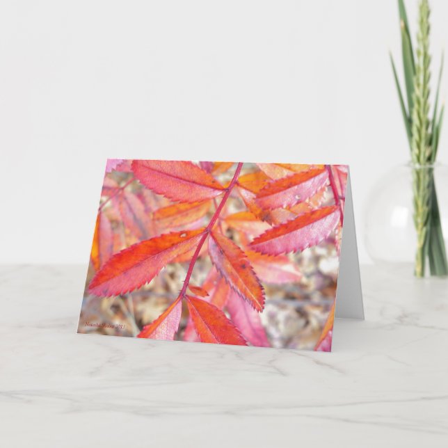 Rött & orangen lämnar kortet - Walden dammkust Kort (Framsida)